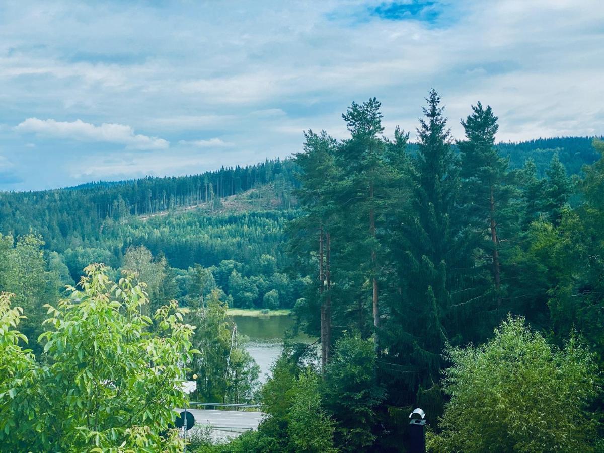 Apartmány Lipno 46 Lipno nad Vltavou Exterior foto